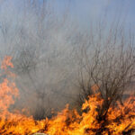 Flăcări devastatoare la periferia Ploieștiului: Două edificii reduse la cenușă, circulația pe DN1B, închisă spre Buzău. 2 foto incendii la marginea ploiestiului doua cladiri distruse de flacari circulatie restrictionata pe dn1b spre buzau 688660fd683c1