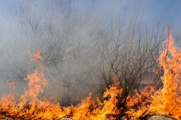 foto incendii la marginea ploiestiului doua cladiri distruse de flacari circulatie restrictionata pe dn1b spre buzau 688660fd683c1
