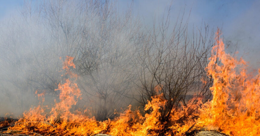 Flăcări devastatoare la periferia Ploieștiului: Două edificii reduse la cenușă, circulația pe DN1B, închisă spre Buzău. 1 foto incendii la marginea ploiestiului doua cladiri distruse de flacari circulatie restrictionata pe dn1b spre buzau 688660fd683c1