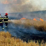 Focul devastator din Argeș: sute de livezi distruse, patru mașini și numeroase anexe în flăcări 3 foto incendiile au facut prapad in arges sute de pomi fructiferi 4 autovehicule si mai multe anexe gospodaresti au ars 6886f829572c4