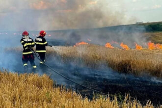 foto incendiile au facut prapad in arges sute de pomi fructiferi 4 autovehicule si mai multe anexe gospodaresti au ars 6886f829572c4