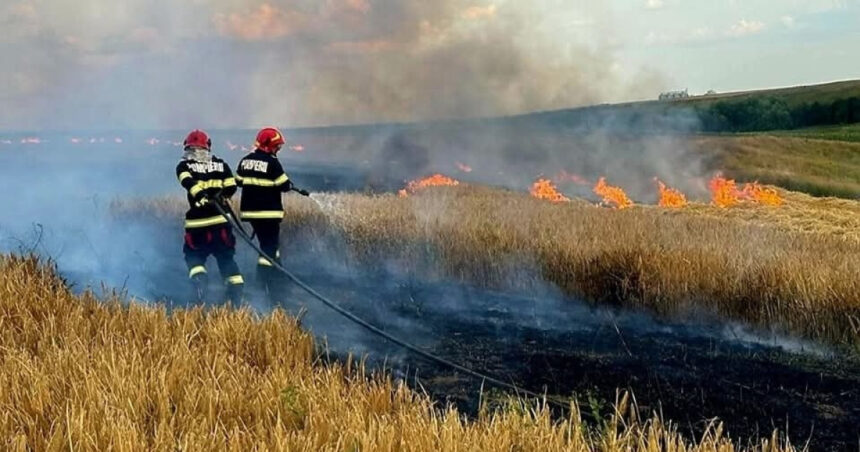 Focul devastator din Argeș: sute de livezi distruse, patru mașini și numeroase anexe în flăcări 1 foto incendiile au facut prapad in arges sute de pomi fructiferi 4 autovehicule si mai multe anexe gospodaresti au ars 6886f829572c4