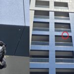 Imagini șocante din Constanța: O pasăre spânzurată, atârnând de un bloc! 3 galerie foto imagini terifiante la constanta au spanzurat o pasare si au lasat o atarnata pe bloc 6887379878015