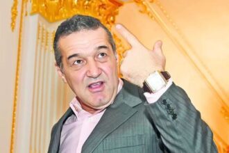 gigi becali a explodat la adresa unui jucator de la fcsb dupa rusinea cu shkendija 688a7e41c95c6