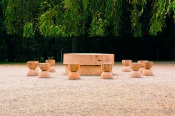 lege promulgata 2026 va fi anul constantin brancusi 6884e7152949b