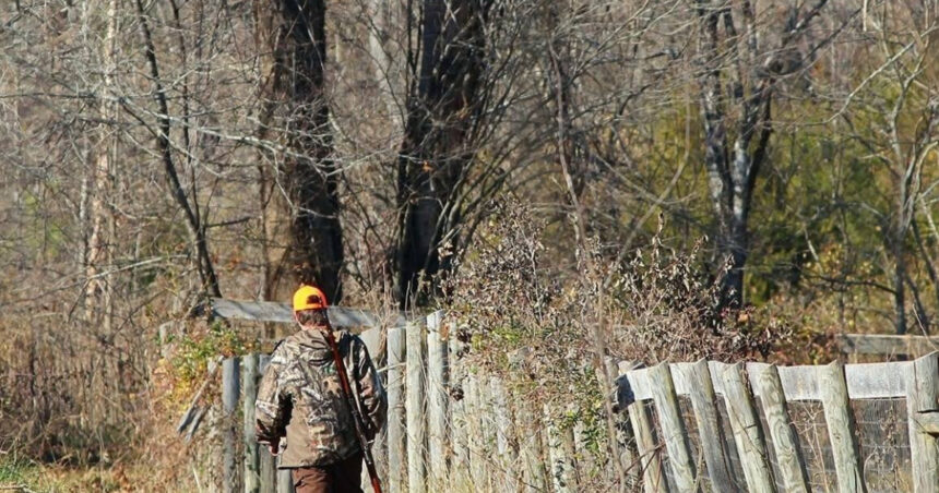 Ministra Mediului propune utilizarea dronelor și a camerelor pentru pădurari: „Încrederea oamenilor este erodată”. Ce alte defrișări sunt planificate la Romsilva? 1 ministra mediului vrea drone si camere video pentru padurari oamenii nu mai au incredere ce alte taieri vor fi la romsilva 6882495829beb