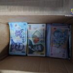 Razie de amploare în Tulcea și Constanța: 6 tinere victime ale exploatării sexuale de către 5 bărbați prin metoda Loverboy, cu confiscări impresionante de sume mari, bijuterii și mașini de lux. 2 perchezitii in judetele tulcea si constanta 6 tinere exploatate sexual de 5 barbati prin metoda loverboy zeci de mii de lei bijuterii si autoturisme de lux confiscate 688b63347dec0