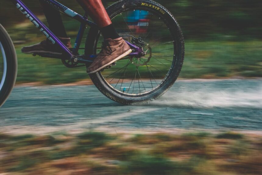 Investiție de 1,82 milioane lei în pistele de biciclete din comuna Albești: află cine va realiza lucrările de infrastructură! 1 piste de biciclete in valoare de 182 milioane lei in comuna albesti vezi ce societate va executa lucrarile de infrastructura 68861d329c6c9