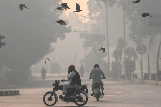 poluarea aerului asociata cu mutatii adn care favorizeaza cancerul pulmonar tot mai multi nefumatori diagnosticati 6882187a563f9