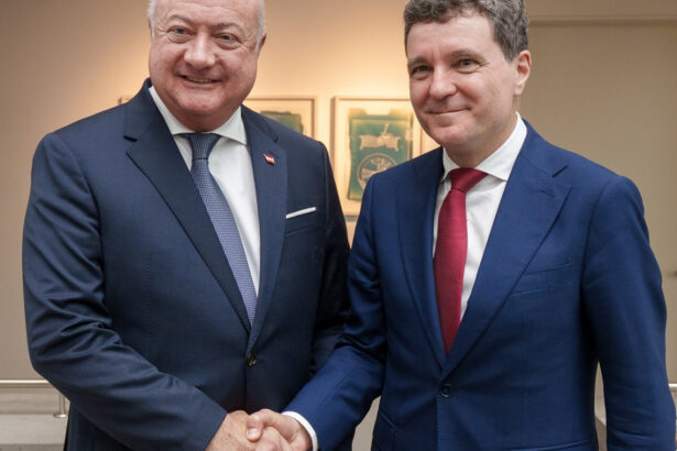 presedintele nicusor dan si cancelarul federal austriac christian stocker s au intalnit la salzburg ce au discutat cei doi 68851686931ca