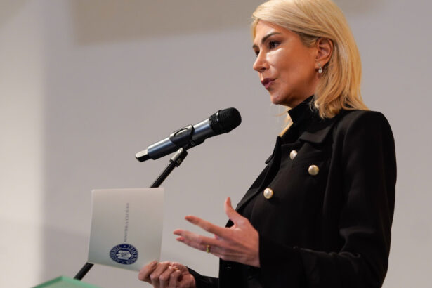 raluca turcan despre reforma pensiilor speciale nu se poate face decat impreuna cu sistemul judiciar altfel s ar ajunge la un blocaj 688b60bf3c935