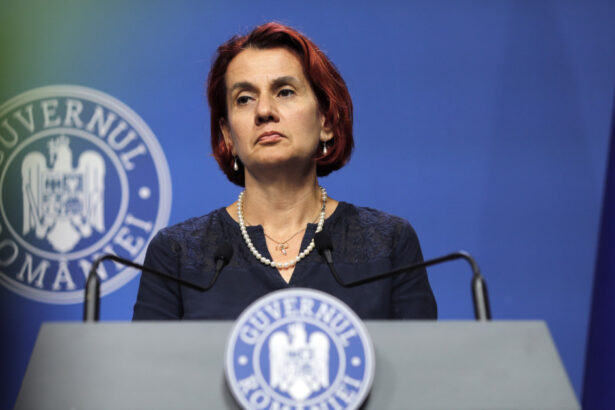 scandalul anastasiu ioana dogioiu leaga acuzatiile la adresa vicepremierului de reforma companiilor de stat 688373052c6ea