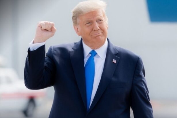 sua si uniunea europeana au ajuns la un acord comercial anunta donald trump este un acord bun pentru toata lumea 6886698e572a3