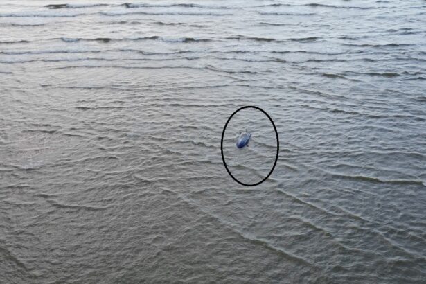 surse detaliul care schimba tot ancheta tragediei din golful musura ar putea fi preluata de parchetul militar iata motivul 68888473da8b7