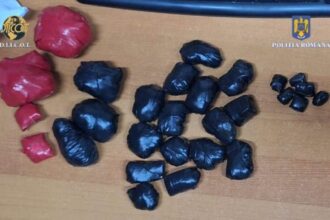 tanar de 19 ani cercetat pentru trafic de droguri de risc si mare risc 6888c9fda3c6d