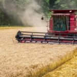 Breaking News: TVA-ul redus pentru ingrediente esențiale în industria alimentară, precum grâul pentru pâine și legumele pentru prelucrare, se menține! 3 ultima ora materiile prime pentru industria alimentara ca graul pentru panificatie rosii si castraveti pentru procesare ar urma sa ramana cu tva redusa 6888c63c22e34