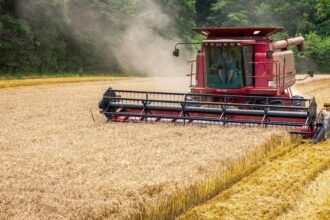ultima ora materiile prime pentru industria alimentara ca graul pentru panificatie rosii si castraveti pentru procesare ar urma sa ramana cu tva redusa 6888c63c22e34