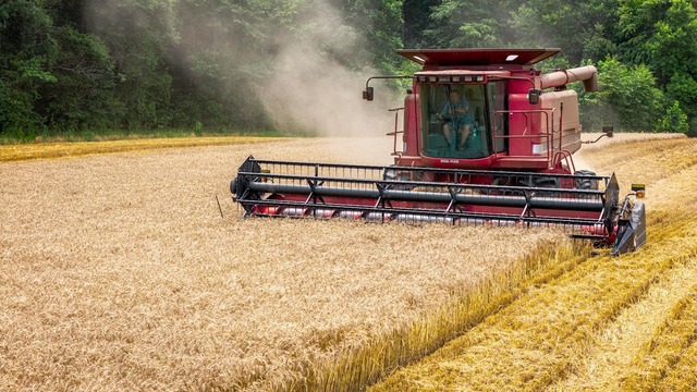 Breaking News: TVA-ul redus pentru ingrediente esențiale în industria alimentară, precum grâul pentru pâine și legumele pentru prelucrare, se menține! 1 ultima ora materiile prime pentru industria alimentara ca graul pentru panificatie rosii si castraveti pentru procesare ar urma sa ramana cu tva redusa 6888c63c22e34