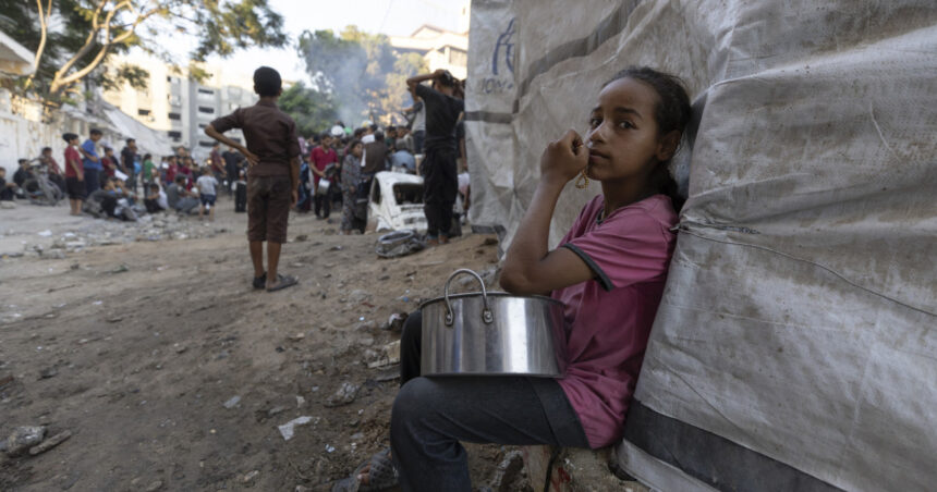 „Severitatea crizei alimentare în Fâșia Gaza: Un copil din cinci se confruntă cu malnutriția, avertizează ONU” 1 unu din cinci copii din fasia gaza sufera de malnutritie anunta onu criza alimentara n a fost niciodata mai grava 6882a16b6188e