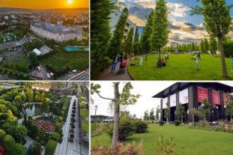 video 25 ani de iulius 3 gradini urbane amenajate de la zero in iasi timisoara si cluj napoca 18 hectare spatii verzi peste 80 000 arbori maturi si arbusti 68876eabdd22d