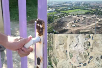 video criza bugetara franeaza investitiile orasul cu traditie in fotbal unde ridicarea unui stadion s a transformat intr o adevarata epopee 6885ecfadbd54