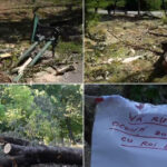 Peisaje descurajante în parcurile bucureștene: Arbori doborâți și distrugeri după furtună, iar autoritățile lipsesc! 2 video imagini dezolante in marile parcuri ale bucurestiului copaci cazuti si amenajari distruse dupa furtuna primaria e de negasit 68824ce9bdadb