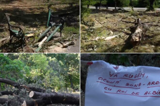 video imagini dezolante in marile parcuri ale bucurestiului copaci cazuti si amenajari distruse dupa furtuna primaria e de negasit 68824ce9bdadb