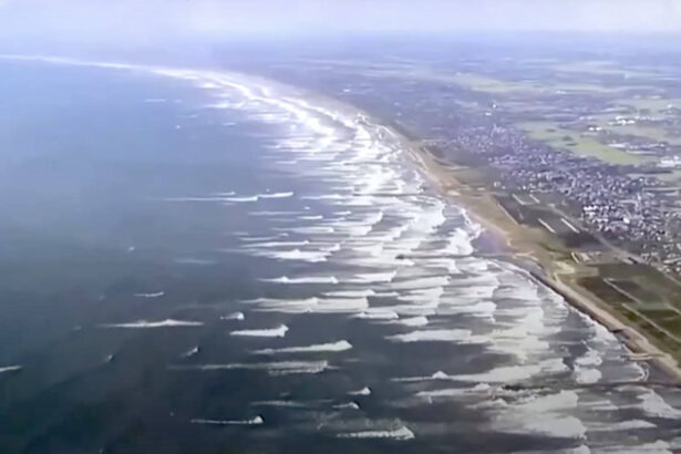 video imagini impresionante in japonia balene esuate pe tarmul din tateyama dupa cutremurul puternic din kamceatka urmat de un tsunami 6889fa75ee378