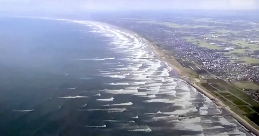 video imagini impresionante in japonia balene esuate pe tarmul din tateyama dupa cutremurul puternic din kamceatka urmat de un tsunami 6889fa75ee378