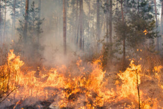 video peste 100 de incendii de vegetatie in bulgaria focul a distrus paduri si locuinte spun autoritatile locale 68868ea283e53