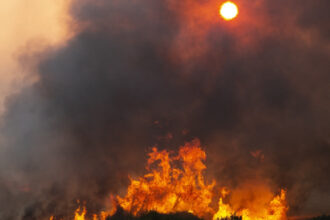 video romania trimite un elicopter black hawk in bulgaria sunt peste 100 de incendii de vegetatie in tara vecina 6887234e27edd