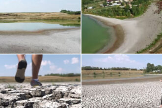 video seceta goleste lacurile din sudul romaniei cum arata astazi un lac de peste 40 de hectare din olt s a ales praful 6884552a101ce