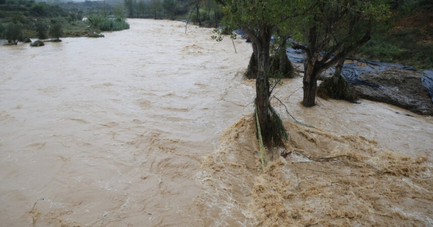 Furtuni devastatoare în Spania: alertă roșie și portocalie pentru inundații severe în diverse regiuni! 1 video vreme extrema in spania cod rosu si portocaliu de furtuni mai multe zone se confrunta cu inundatii puternice 68839743b5bf3