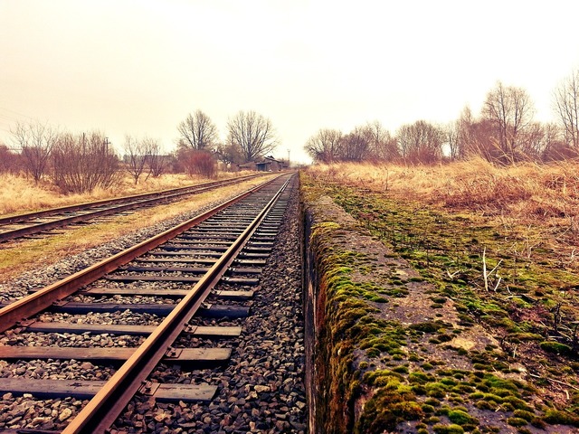 Contract de 2,1 miliarde lei parafat pentru revitalizarea liniei feroviare București - Giurgiu Nord Frontieră 1 a fost semnat contractul de 21 miliarde lei pentru modernizarea liniei de cale ferata bucuresti giurgiu nord frontiera 689e2b927ac22