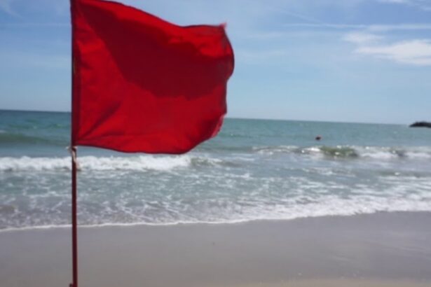 a sfidat salvamarii si a fost incatusat turist amendat pe plaja din venus 68a85c95a443b