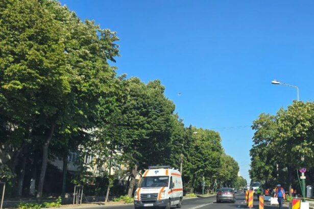 accident pe bulevardul aurel vlaicu din constanta un autoturism a intrat intr un stalp echipajele de urgenta intervin la fata locului 689ccd2d88d9b