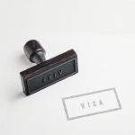 Revizuirea totală a vizelor: Administrația Trump își propune să reexamineze 55 de milioane de permise, inclusiv cele pentru turism și studii, și anunță măsuri de expulzare. 3 administratia trump va revizui toate cele 55 de milioane de vize acordate inclusiv turistice sau de studii anunta si expulzari 68a8552d564fb