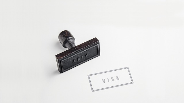 Revizuirea totală a vizelor: Administrația Trump își propune să reexamineze 55 de milioane de permise, inclusiv cele pentru turism și studii, și anunță măsuri de expulzare. 1 administratia trump va revizui toate cele 55 de milioane de vize acordate inclusiv turistice sau de studii anunta si