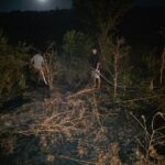 Foc devastator în comuna Lipnița! Flăcările au cuprins vegetația dintre Ferma 10 și Crama Lipnița. 3 alerta in comuna lipnita un incendiu de vegetatie uscata a izbucnit intre ferma 10 si crama lipnita 689902bf2dcd9