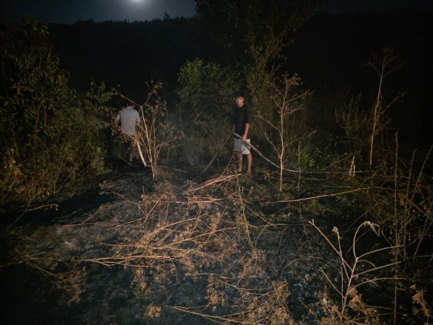 Foc devastator în comuna Lipnița! Flăcările au cuprins vegetația dintre Ferma 10 și Crama Lipnița. 1 alerta in comuna lipnita un incendiu de vegetatie uscata a izbucnit intre ferma 10 si crama lipnita 689902bf2dcd9