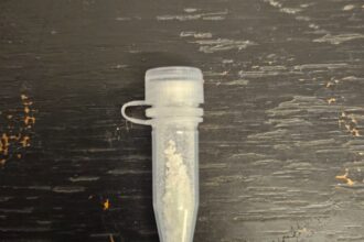 alerta in vama veche jandarmii au depistat un barbat care consuma substante interzise intr un local 68ad596baea5c
