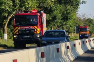 alerta intre eforie nord si sud pe dn39 a luat foc vegetatia de pe marginea drumului 68a0a1e55ca49
