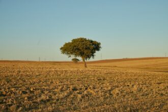 alerta meteo in romania vin temperaturi neobisnuit de mari 689b0de6e28cd