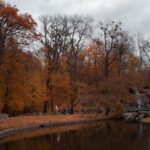 Atenție la vreme - Frig neobișnuit în prognoză! 3 alerta meteo temperaturi sub cele obisnuite 68a436b831b5d