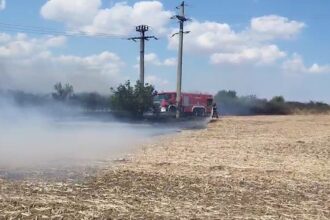 alerta pe autostrada a2 pe sensul spre constanta a luat foc vegetatia de pe marginea drumului 68a5f98a2f6f2