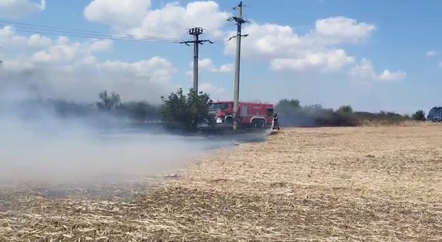 Incendiu pe Autostrada A2 către Constanța! Vegetația de pe marginea șoselei în flăcări! 1 alerta pe autostrada a2 pe sensul spre constanta a luat foc vegetatia de pe marginea drumului 68a5f98a2f6f2