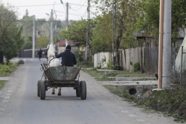 all inclusive pe bani publici o primarie din arges face cursuri de mii de euro cu angajatii la mare primar merita sunt banii mei 689eef3e585cd