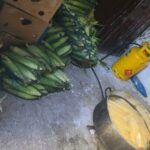 Sancțiuni de peste 170.000 de lei pentru comercianții stradali de gogoși, porumb fiert și colaci secuiești din Eforie 2 amenzi de peste 170 000 de lei pentru vanzatorii ambulanti de gogosi porumb fiert si colaci secuiesti de la eforie 68a3171ed2dbc