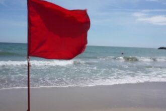 amenzi pe litoral pentru turistii care au ignorat steagul rosu 68a4a41c3d2e9