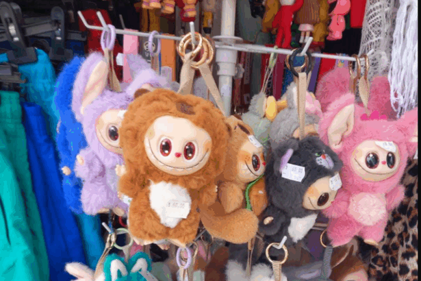 anpc se lupta pe litoral cu jucariile kendama si montruletii labubu amenzi de 800 000 de lei in ultima saptamana si 30 de firme cu activitatea oprita 688e45352f1b7